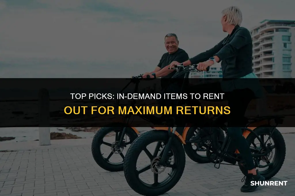 what to rent out people always want