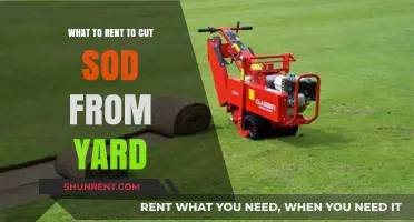 Best Tools to Rent for Efficient Sod Removal from Your Yard
