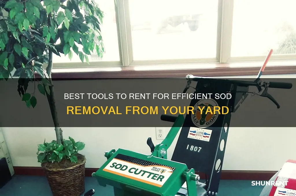 what to rent to cut sod from yard