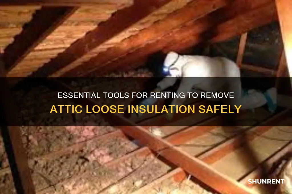 what to rent to remove attic loose insulation