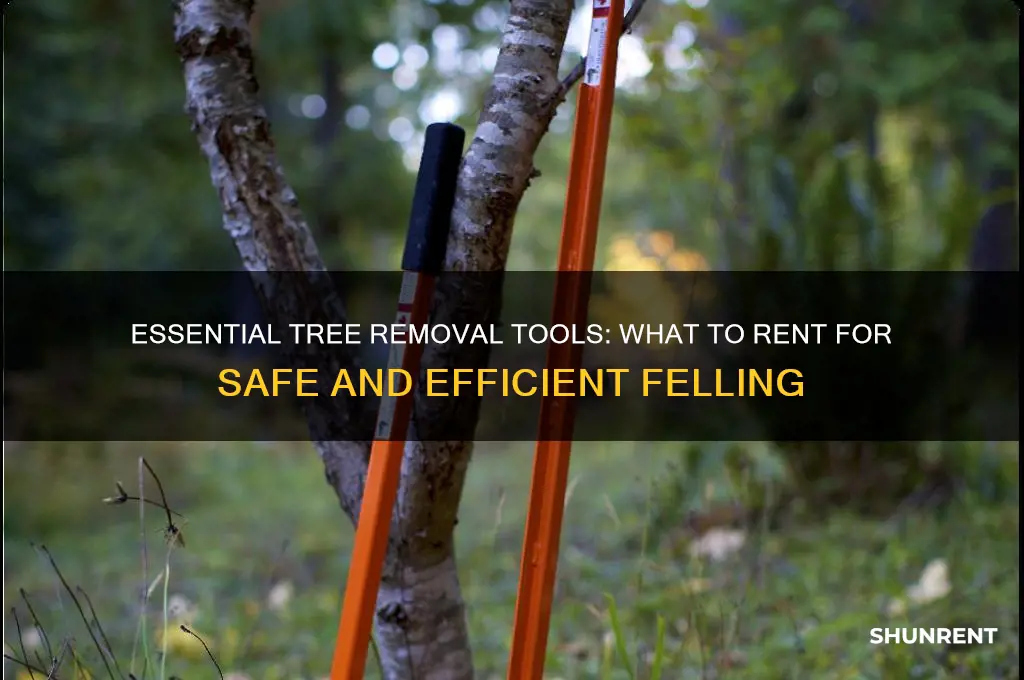 what to rent to take down a tree
