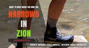 Essential Gear Rentals for Hiking the Narrows in Zion National Park