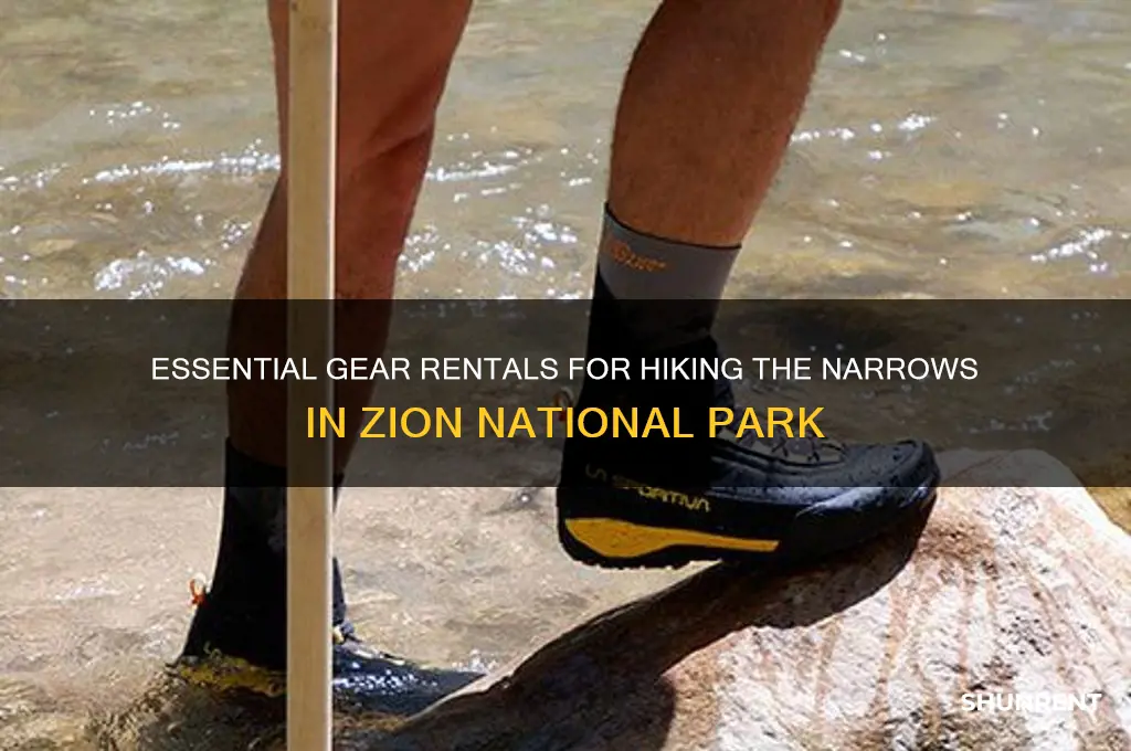 what to rent when you hike the narrows in zion