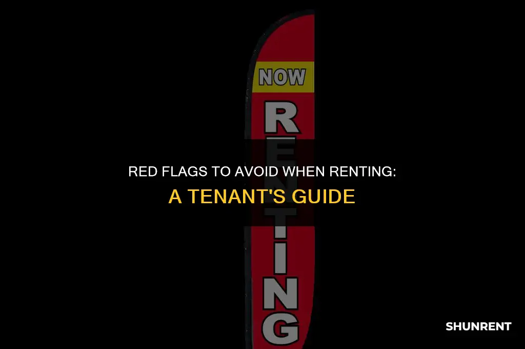 what to watch out for when renting