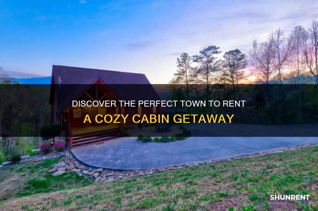 what town is the rent a cabin in
