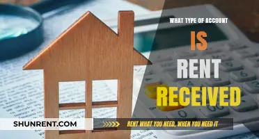 Understanding Rent Received: A Guide to Accounting for Rental Income