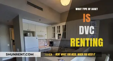 Unlocking the Potential: Understanding DVC Renting as an Asset