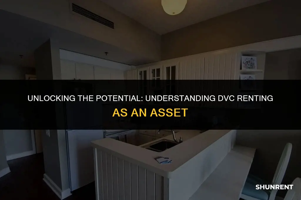 what type of asset is dvc renting