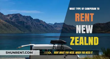 Best Campervan Rental Options for Exploring New Zealand's Stunning Landscapes