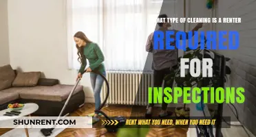Essential Cleaning Tips for Renters to Pass Inspection with Ease