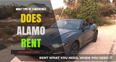 Exploring Alamo's Convertible Fleet: Your Guide to Open-Top Rentals