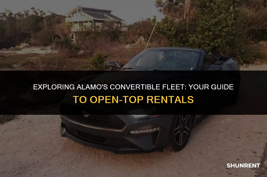 what type of convertible does alamo rent