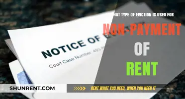 Understanding the Eviction Process for Non-Payment of Rent