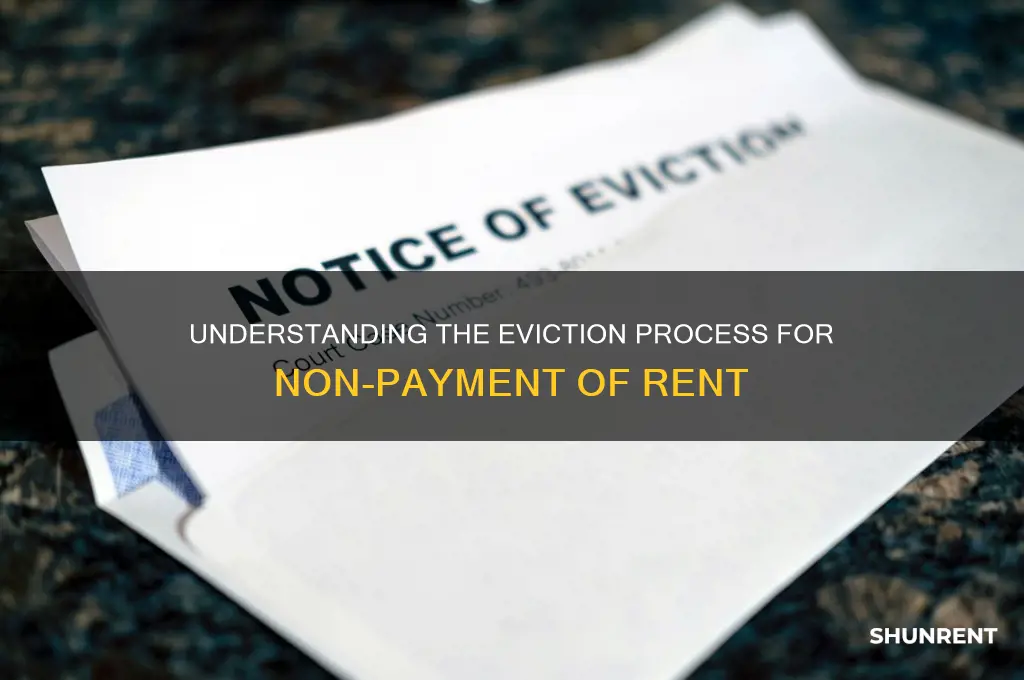 what type of eviction is used for non-payment of rent