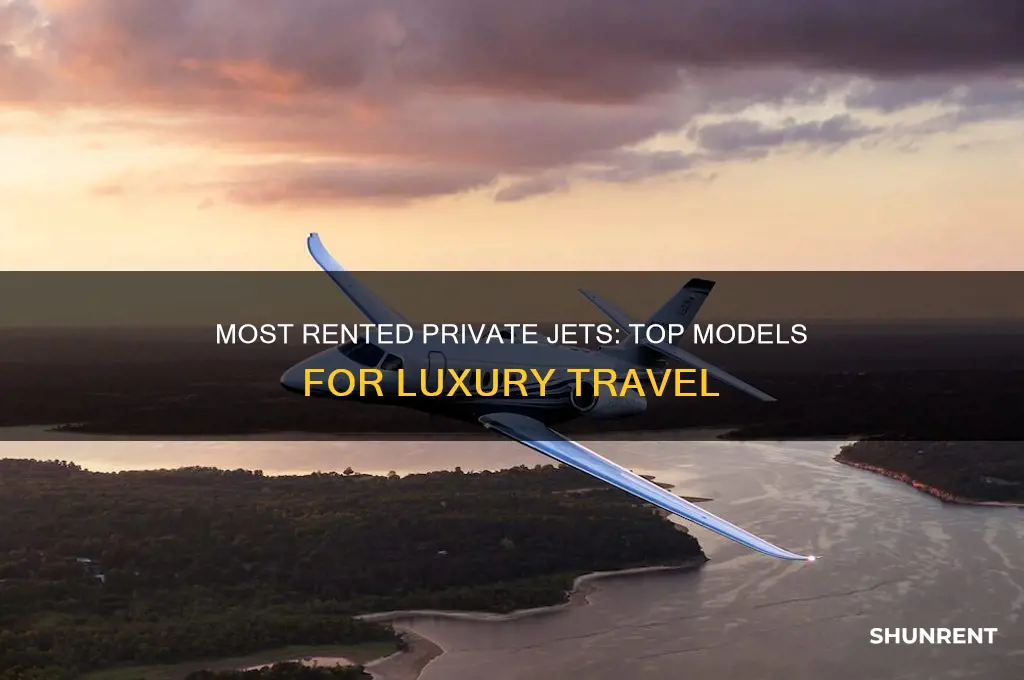 what type of jet is rent the most