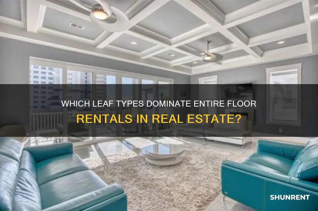 what type of leaves typically rent out the entire floor