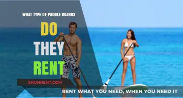 Discover the Best Paddle Board Rentals for Your Next Adventure