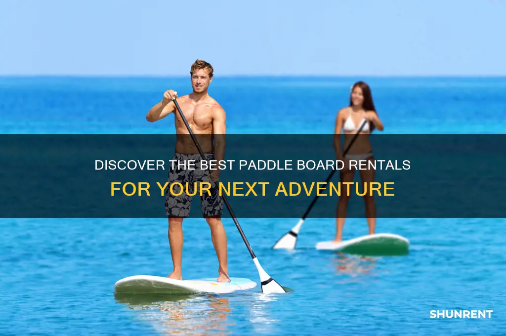 what type of paddle boards do they rent