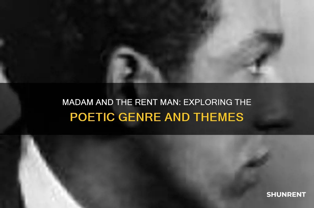 what type of poem is madam and the rent man