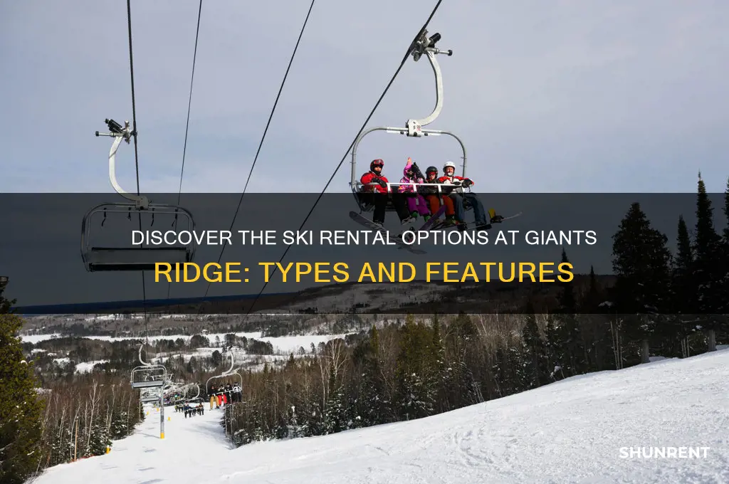 what type of skis do they rent at giants ridge