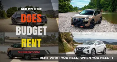 Exploring Budget Rent-A-Car's Diverse SUV Fleet: A Comprehensive Guide