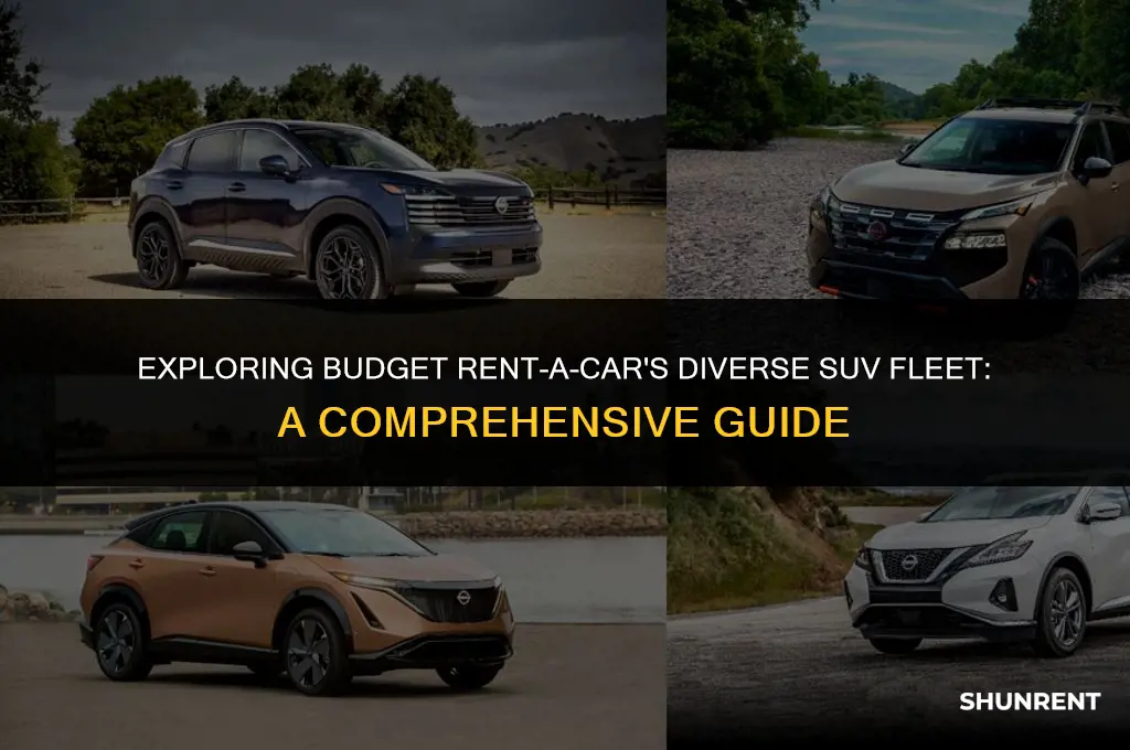 what type of suv does budget rent