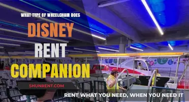 Disney Wheelchair Rentals: Companion Options and Accessibility Guide