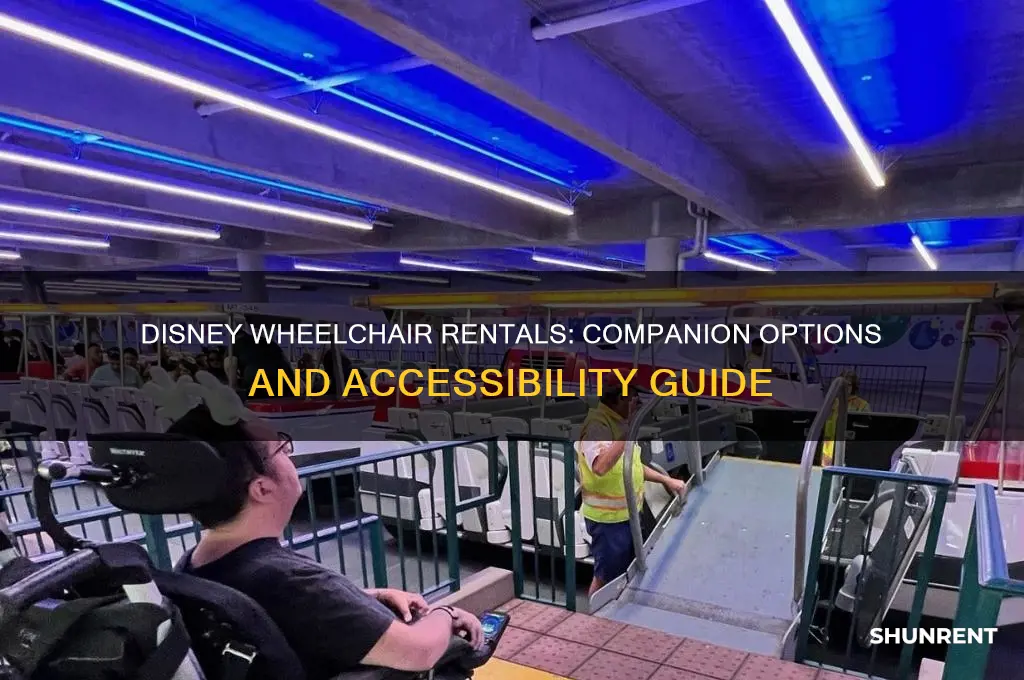 what type of wheelchair does disney rent companion