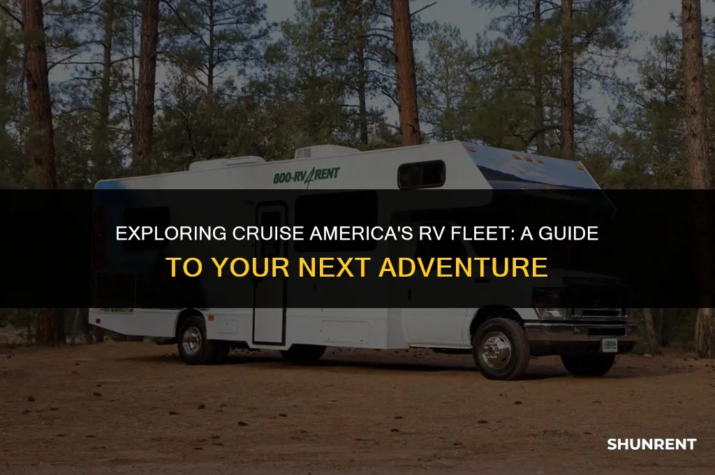 what type rv do cruise america rent