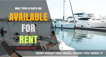 Explore Your Options: Diverse Boat Rentals for Every Water Adventure