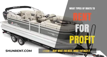 Profitable Boat Rental Options: Choosing the Right Vessels for Maximum Returns