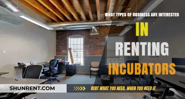 Which Businesses Seek Incubator Rentals for Growth and Innovation?