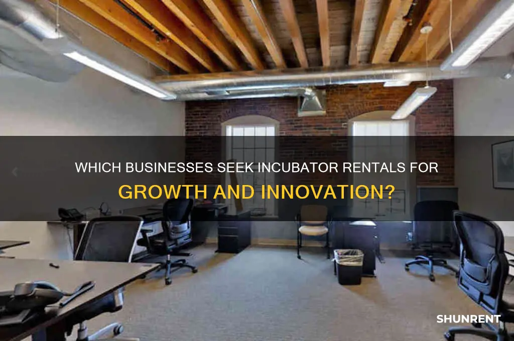 what types of business are interested in renting incubators
