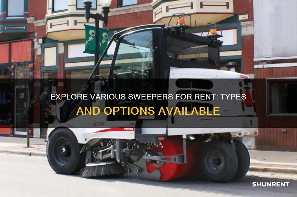 what types of sweepers are available for rent