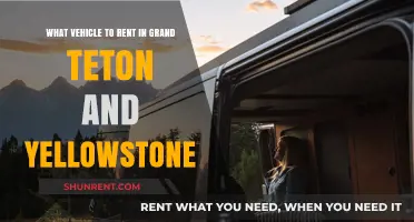 Exploring Grand Teton & Yellowstone: Best Vehicle Rental Guide