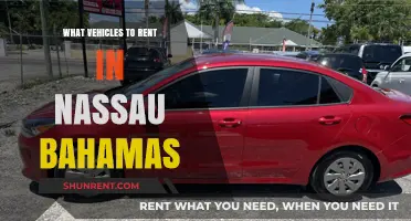 Exploring Nassau: A Guide to the Best Vehicle Rentals in the Bahamas