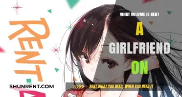 Exploring the Volumes: A Guide to Rent-A-Girlfriend Series