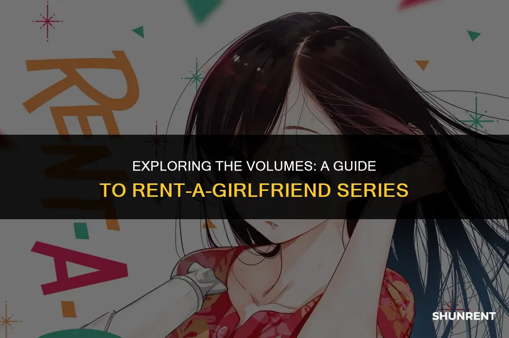 what volume is rent a girlfriend on