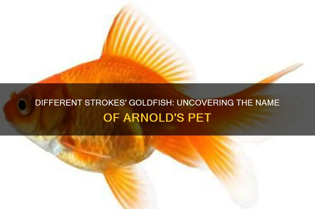 what was the name of the goldfish on different strokes