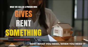 Understanding the Term for Someone Who Rents Out Property or Items