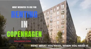 Top Copenhagen Rental Websites: Find Your Perfect Home Easily