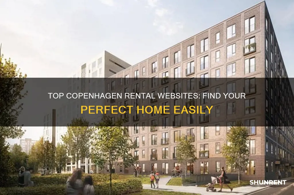 what websites to use for renting in copenhagen