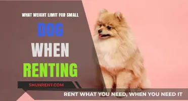 Small Dog Weight Limits: What Renters Need to Know