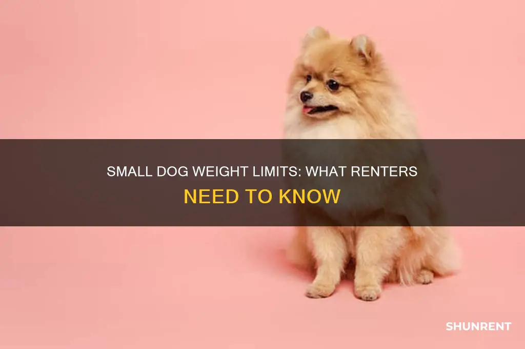 what weight limit for small dog when renting
