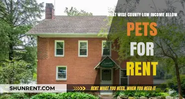Pet-Friendly Low-Income Rentals in Wise County: Affordable Housing Options