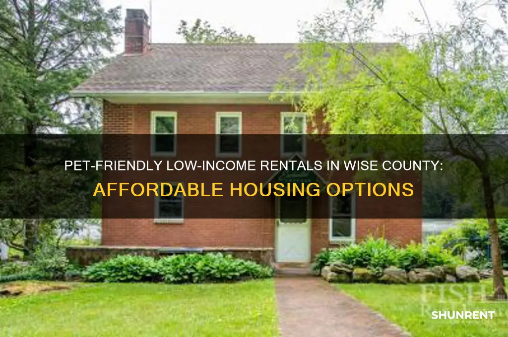 what wise county low income allow pets for rent