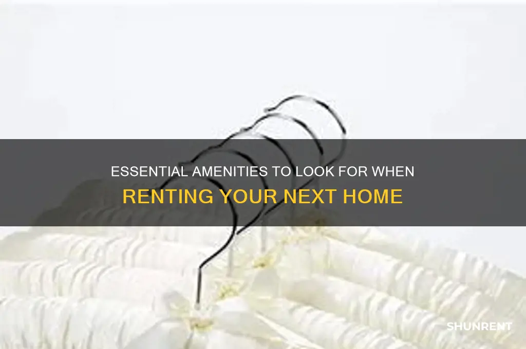 what would be considreded an amminaty when renting a place