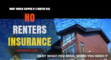 No Renters Insurance? Risks and Consequences for Unprotected Tenants