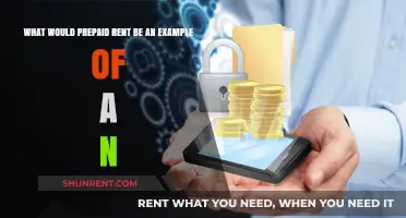 Prepaid Rent: A Classic Example of an Asset Account Explained
