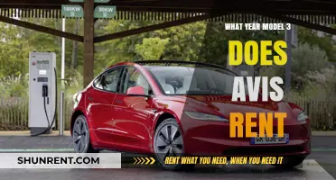 Exploring Avis's Fleet: Which Model 3 Year Do They Rent?
